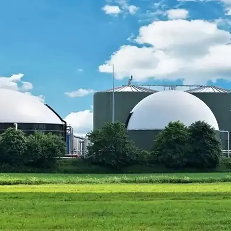 La coerenza biodigerita