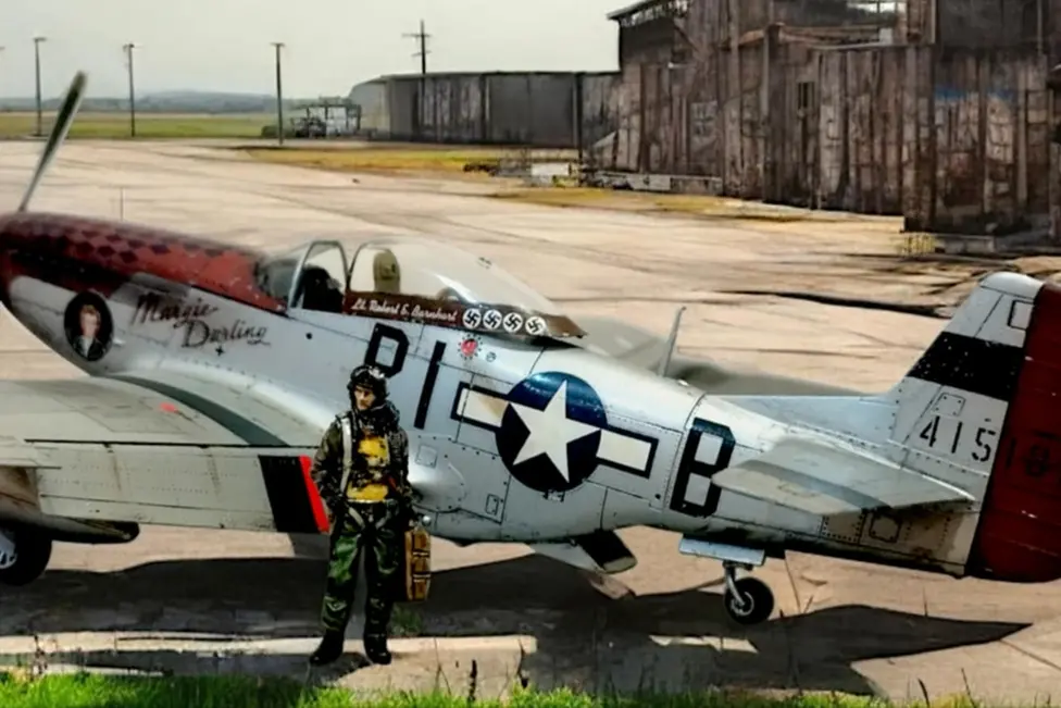 <p>Immagine da internet</p>\\n