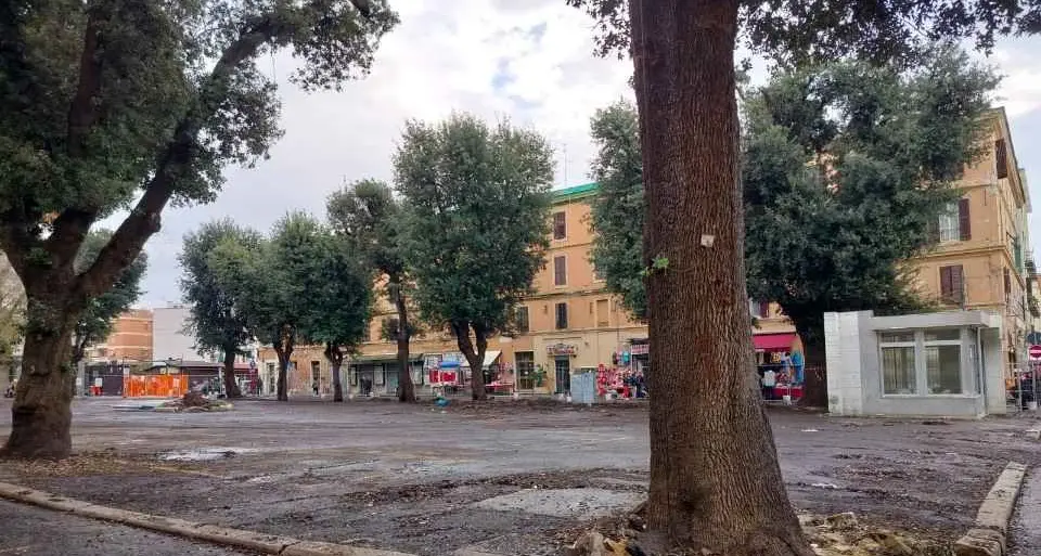 «Difendere gli alberi non significa opporsi al cambiamento»