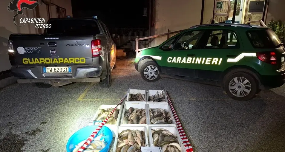 Lago di Vico: scoperti due pescatori di frodo