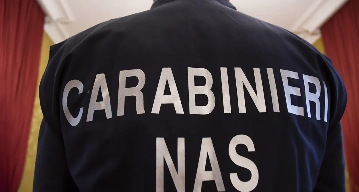 Viterbo: scoperti tre operai in nero e sequestrati 70 chili di alimenti