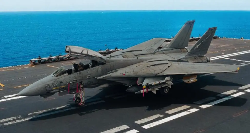 Gli artigli del felino