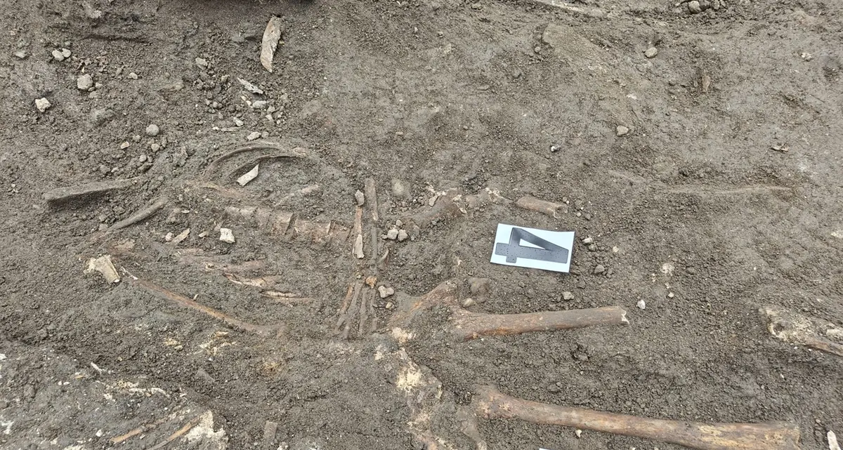 Scavi archeologici, uno sguardo sul passato di Viterbo