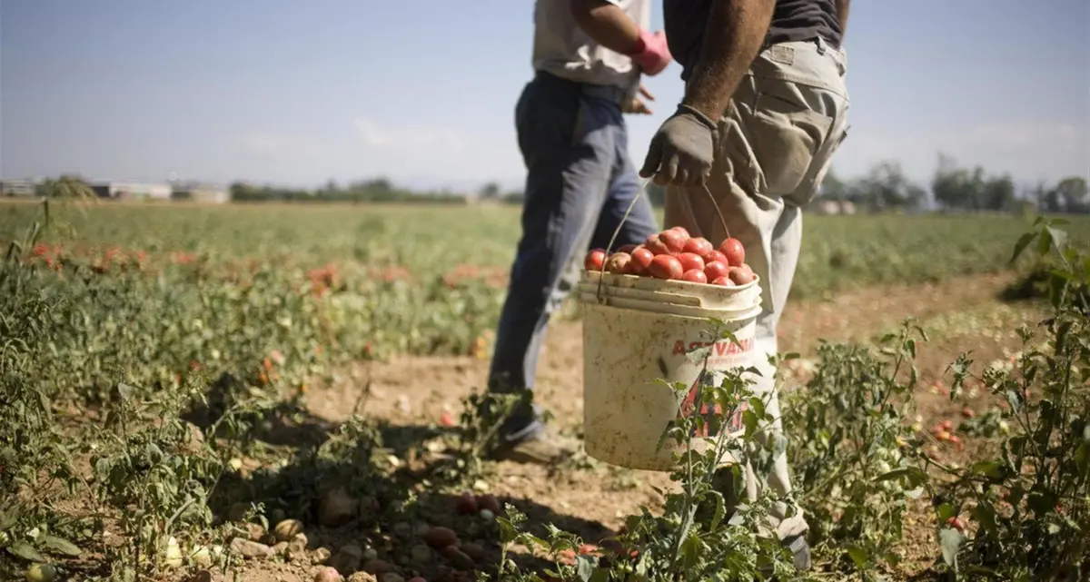 Sindacati in piazza per i diritti dei braccianti agricoli