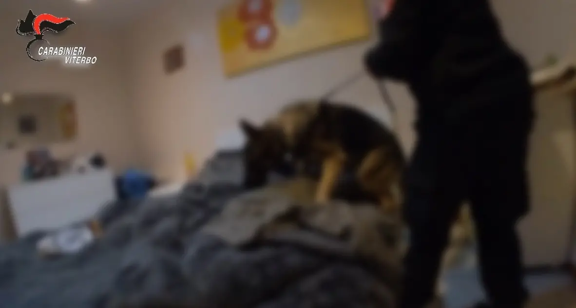 Maxi operazione antidroga, eseguite 59 perquisizioni tra Viterbo, provincia e Civitavecchia