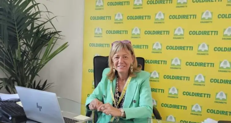 «Nocciole, nella Tuscia perdite fino a 100 per cento»