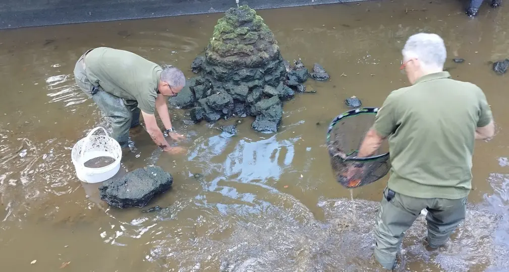 «Moria di pesci a Pratogiardino, Regione costretta a sostituirsi al Comune»