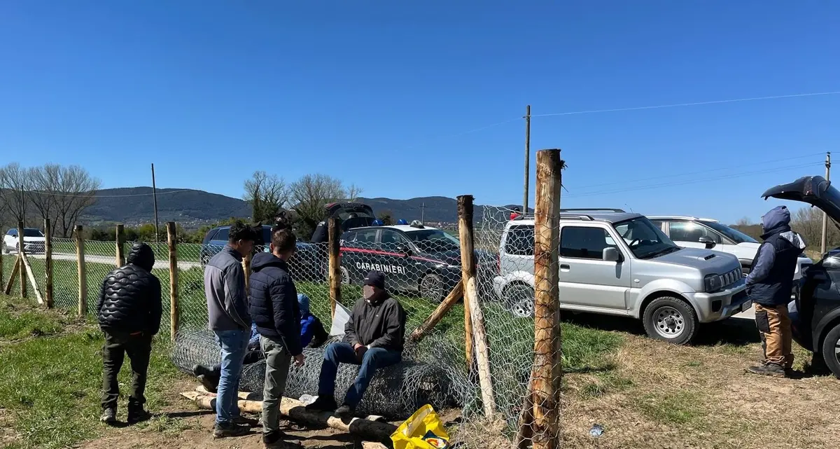 Lavoro nero nel noccioleto, due imprenditori viterbesi nei guai
