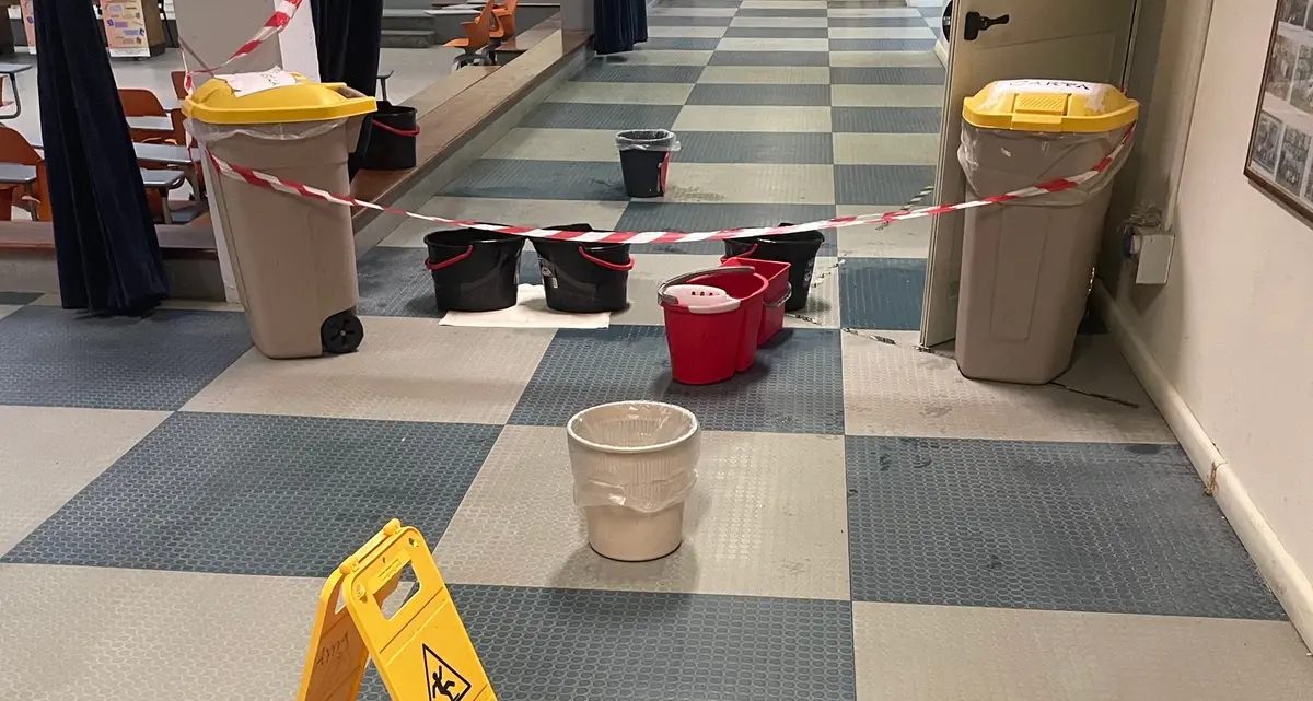 Liceo Guglielmotti, pensieri di un’ex studentessa