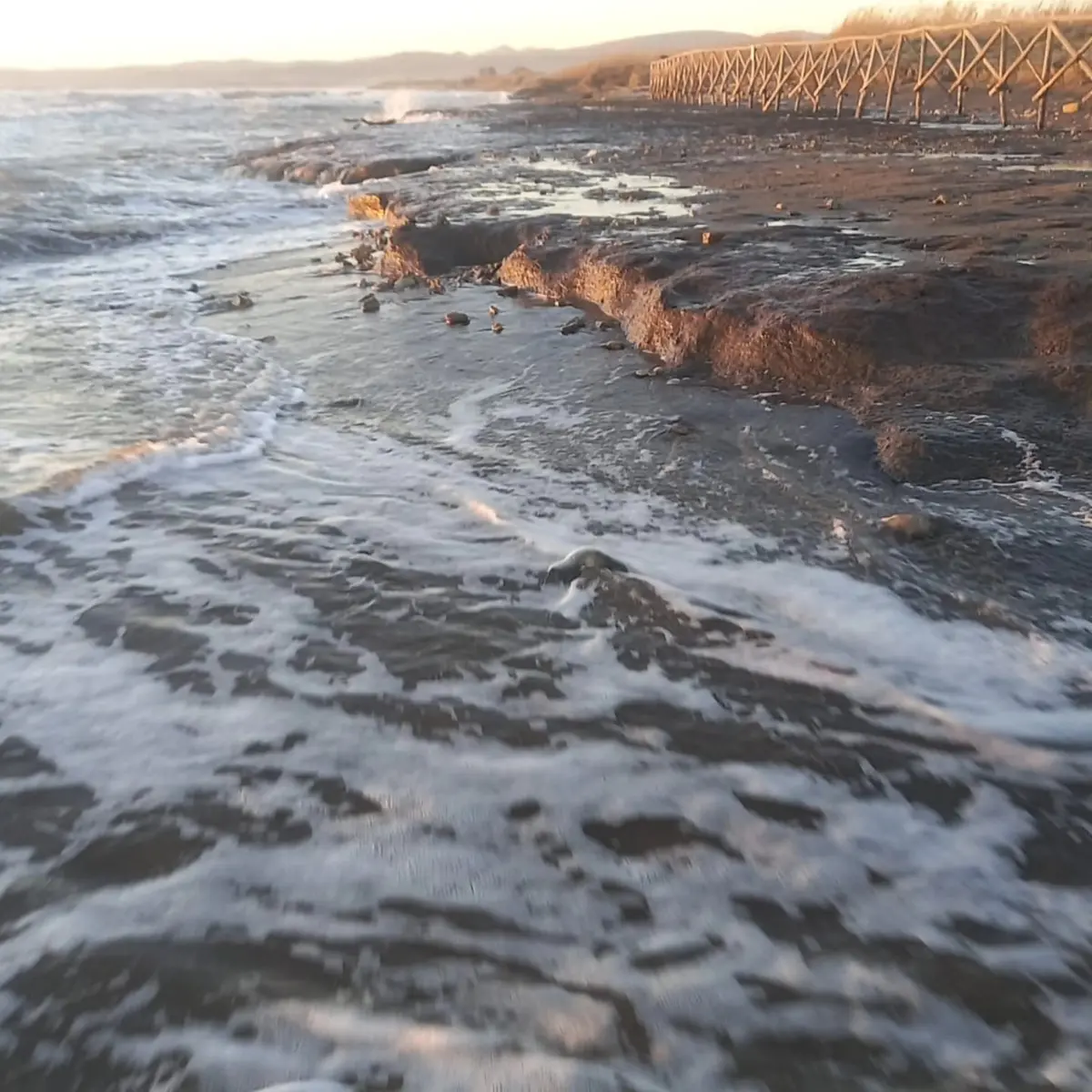 Il caso della Palude approda in Regione