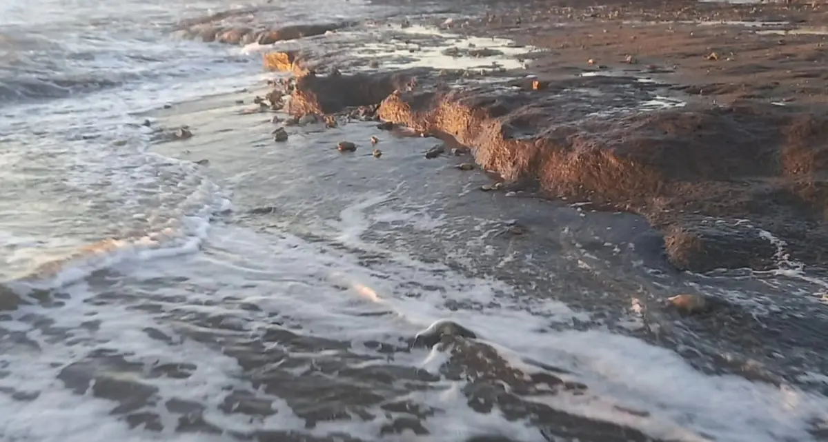 Il caso della Palude approda in Regione