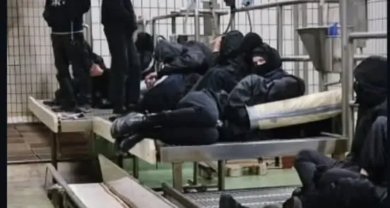 Mattatoio occupato, foglio di via per gli attivisti