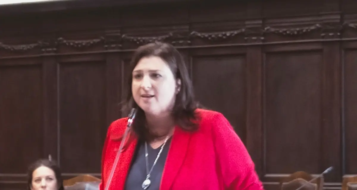 «Il consiglio straordinario, per qualcuno un tentativo di rifarsi il trucco politico»