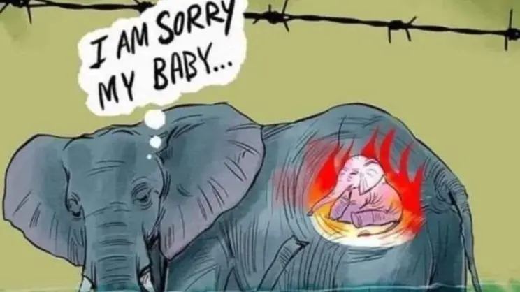 Elefantessa incinta uccisa da ananas esplosivo