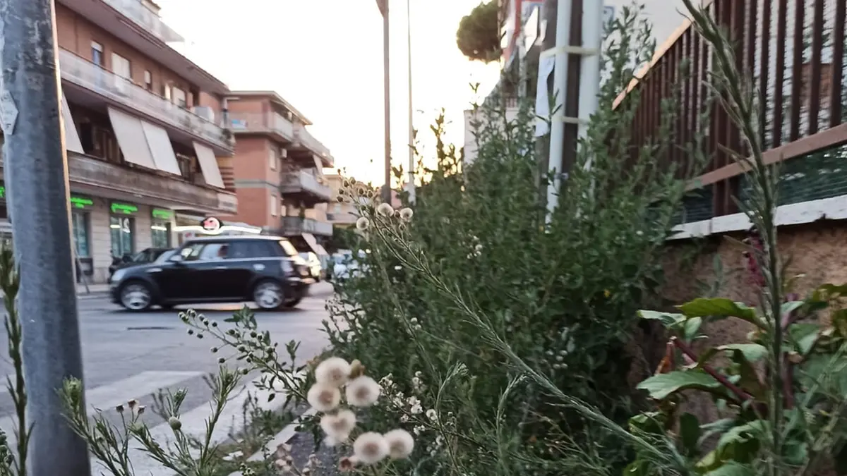Ladispoli: strade e marciapiedi nel degrado