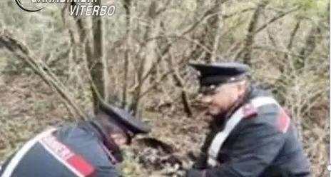 Spaccio nei boschi: i carabinieri di Farnese trovano 180 grammi di cocaina