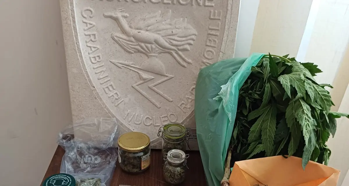 Fermati per un controllo, consegnano la droga