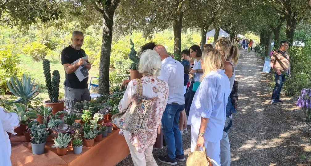 “Verdi e contenti”, l’arte dei fiori torna a Vitorchiano