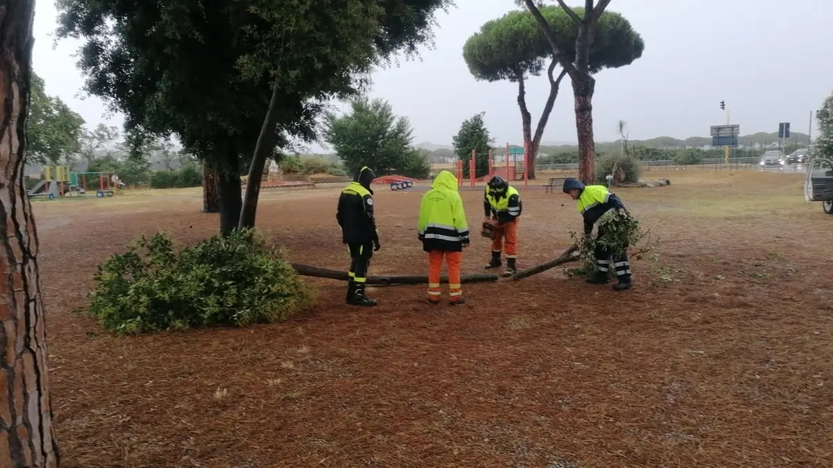 Cerveteri, vento e forti piogge: rcadono rami e alberi