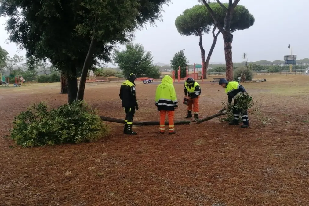Cerveteri, vento e forti piogge: rcadono rami e alberi