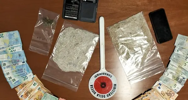 I cani fiutano 250 grammi di ecstasy in un locale