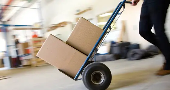 Export in crescita per la Tuscia