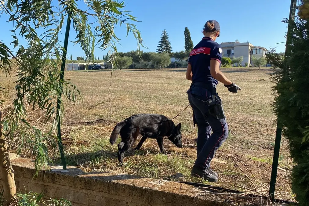 Operazione \"Rider 2\": 4 arresti