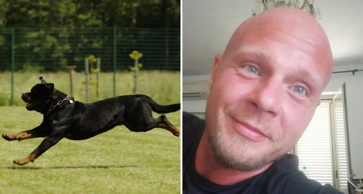 «Runner sbranato, i cani non sono usciti dal cancello»