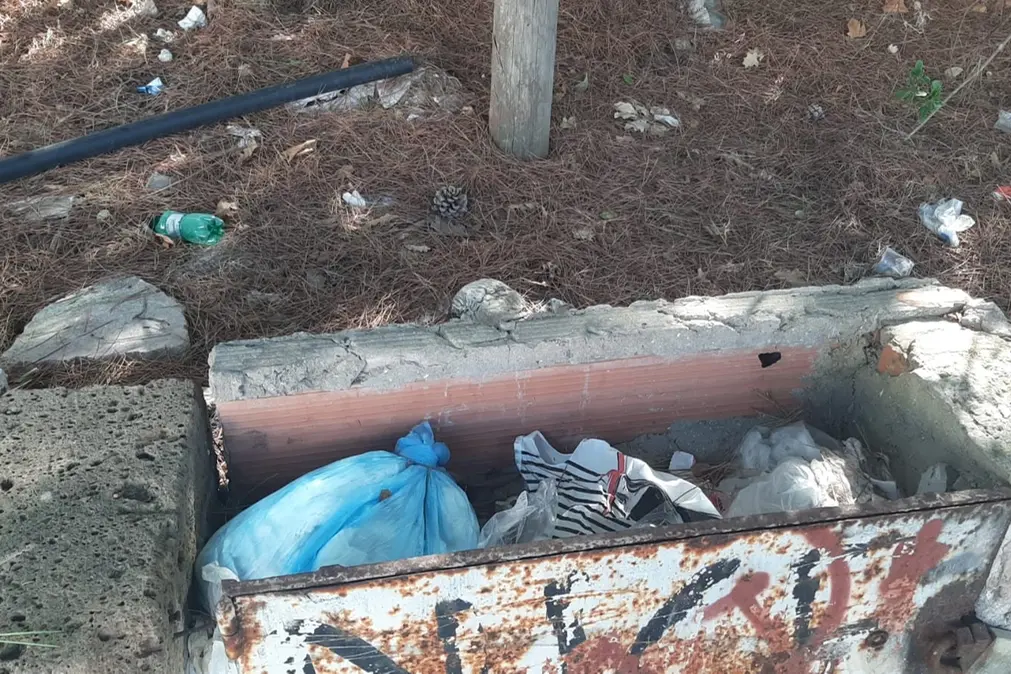 «Via dei Delfini nel degrado»