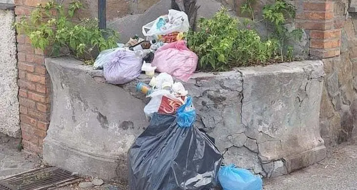 Manuelli: «Discariche in centro, mancanza di senso civico»