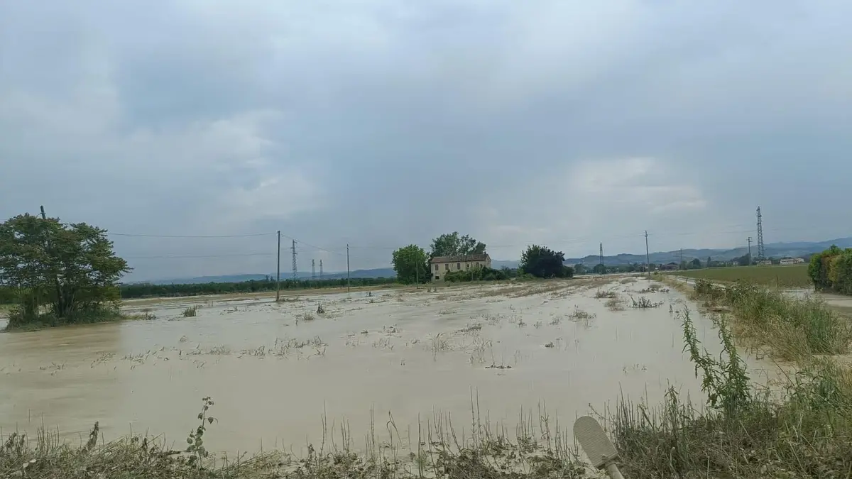 Emergenza Emilia Romagna, la Protezione civile Avalon a Forlì per aiutare gli alluvionati