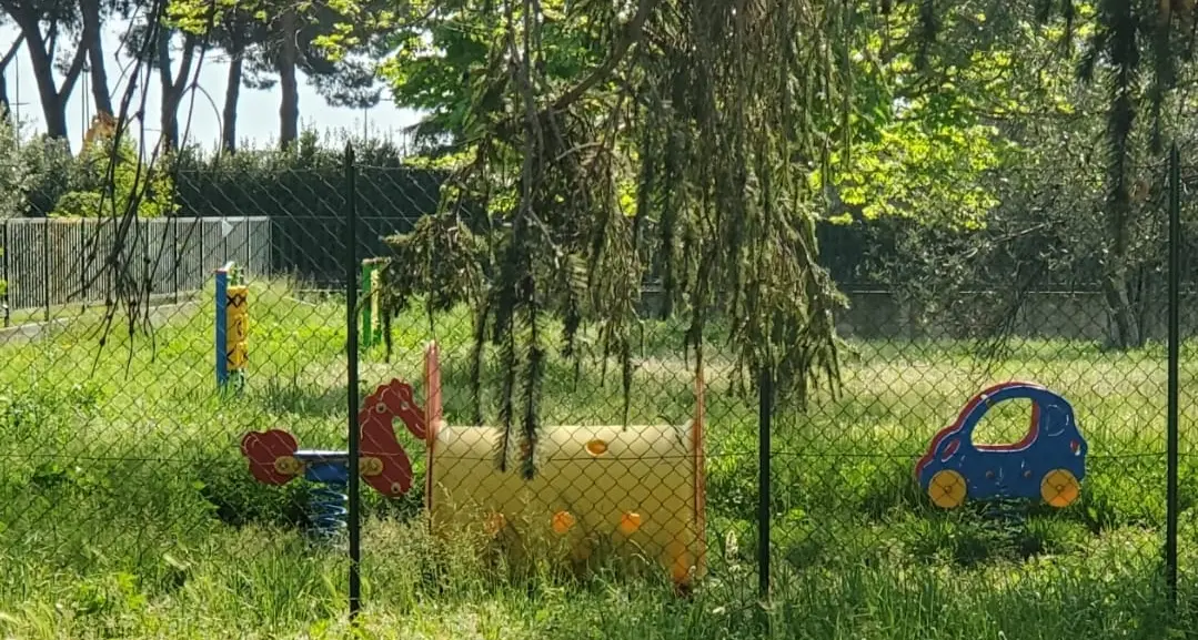 Viterbo, erba alta nei giardini delle scuole