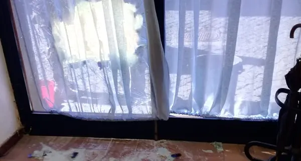 Spaccate in centro, denunciato un 28enne