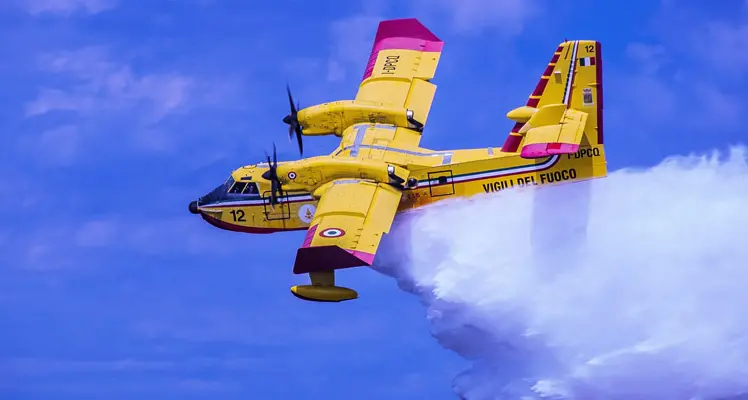 Vasto incendio a Cellere: in fumo 5 ettari tra bosco, colture e sterpaglie