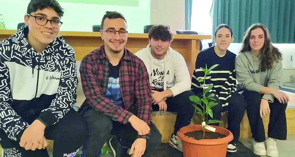 L’albero di Falcone trova casa al Liceo Galilei