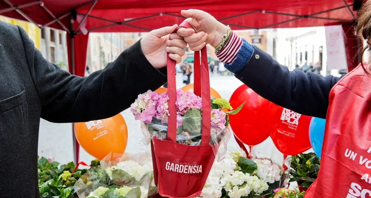 Bentornata Gardensia anche in piazza Rossellini