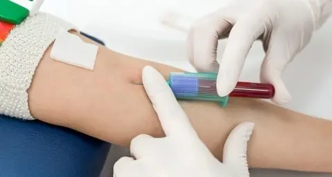 Torna la raccolta sangue dell’Avis di Ladispoli