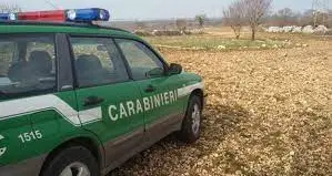 Smaltimento illecito di rifiuti speciali, imprenditore edile nei guai