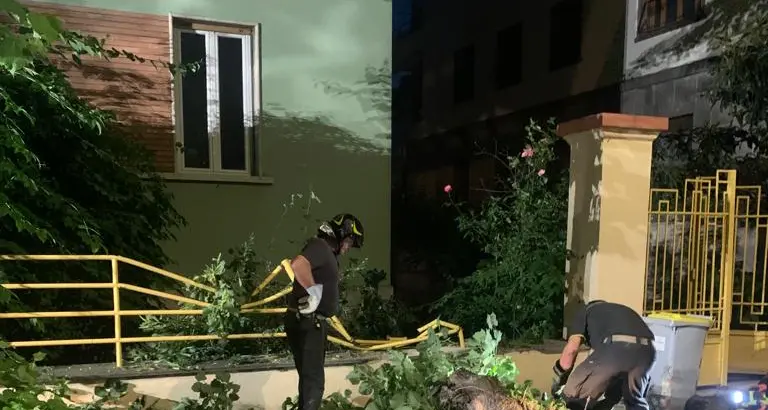 Albero cade su un’auto in sosta e un cancello