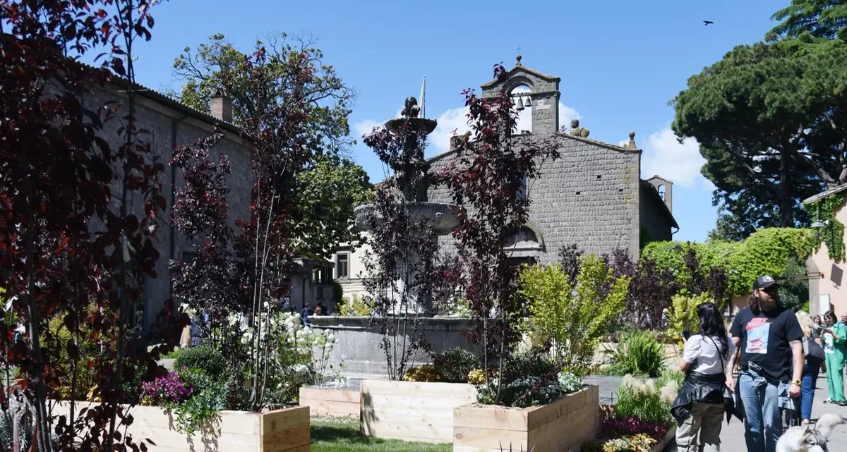 Viterbo, tempi supplementari per San Pellegrino in fiore