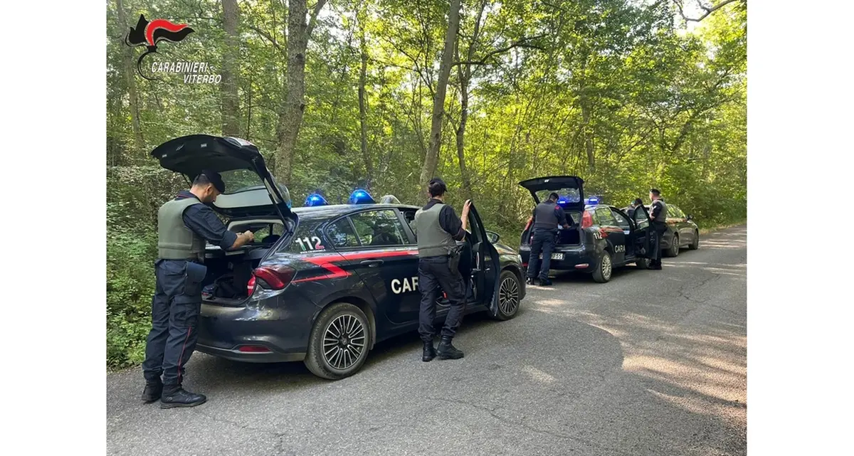 Spaccio nei boschi della Tuscia: controlli a tappeto dei carabinieri
