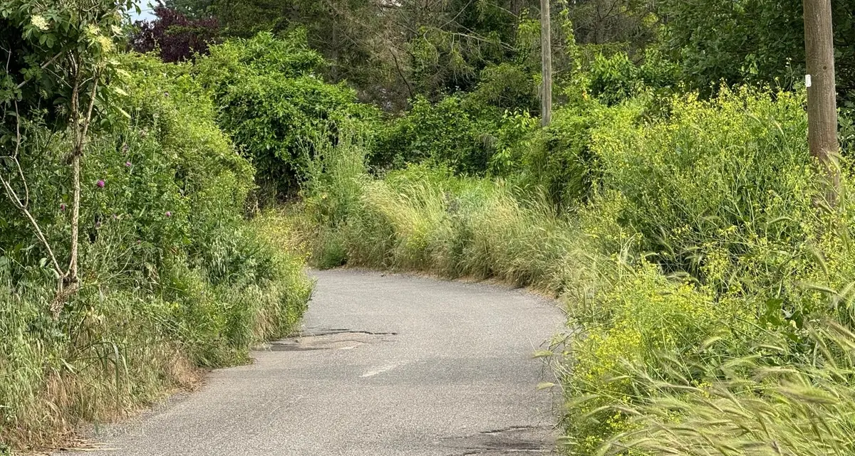 «Frontini mostra l’aeroporto, ma dimentica la vergogna che c’è intorno»
