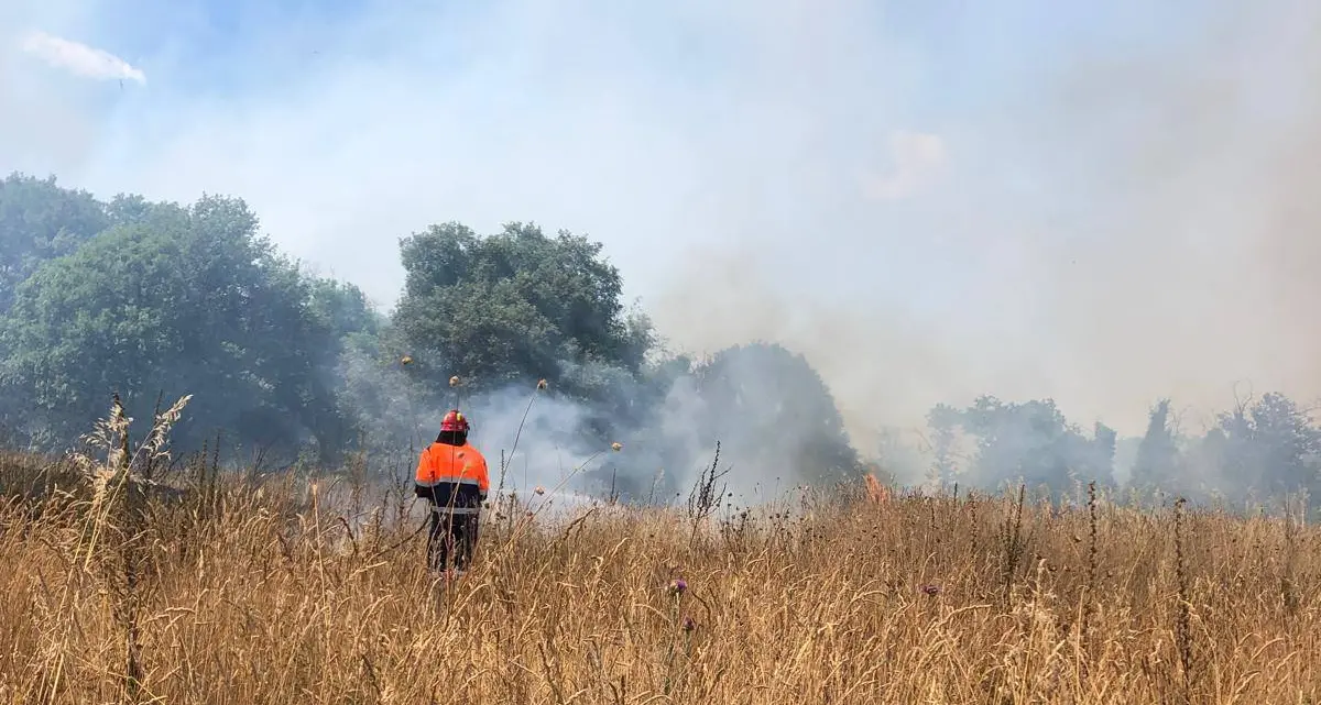 Vasto incendio in zona collinare a Monterosi