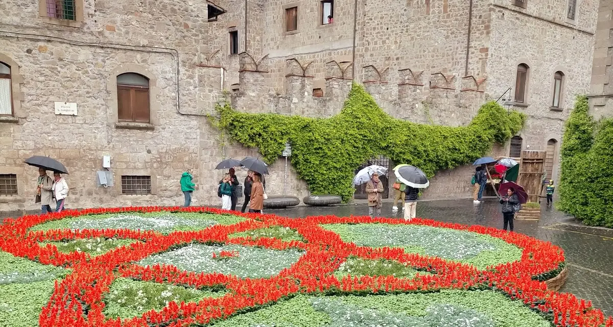 Viterbo, al lavoro per San Pellegrino in fiore 2025