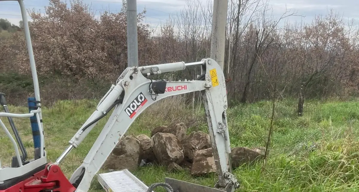 «L’amministrazione spieghi perché l’intervento è avvenuto senza sorveglianza»