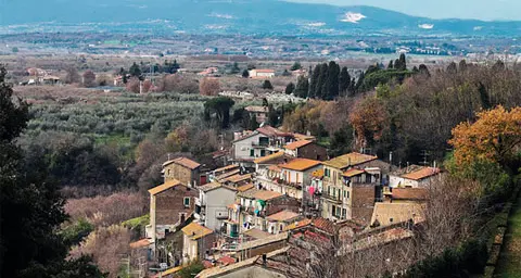 «Gatta uccisa a colpi di pistola a Vignanello»