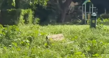 Erba alta a Viterbo, Martinengo: «In campo tutte le forze possibili»