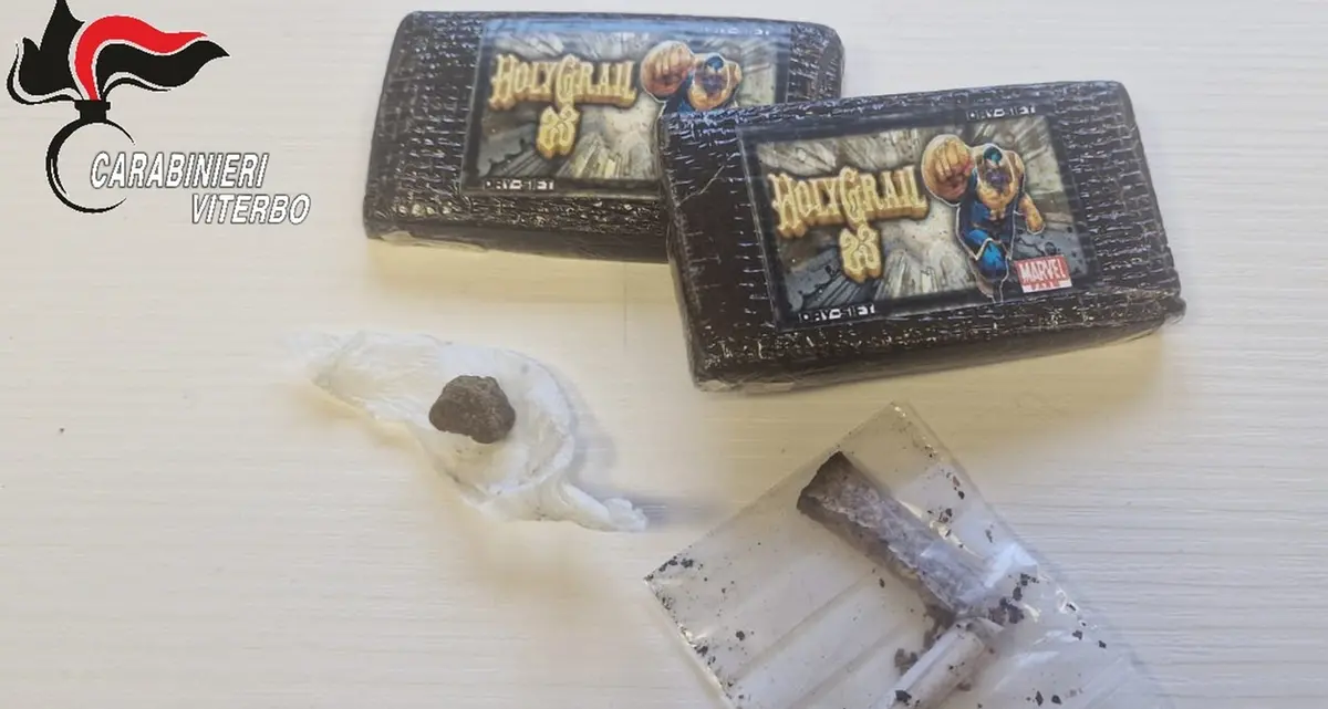 Spaccio nei boschi: smantellati due accampamenti