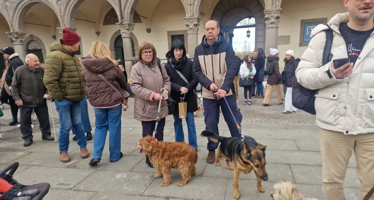 Viterbo: pienone per la benedizione degli animali