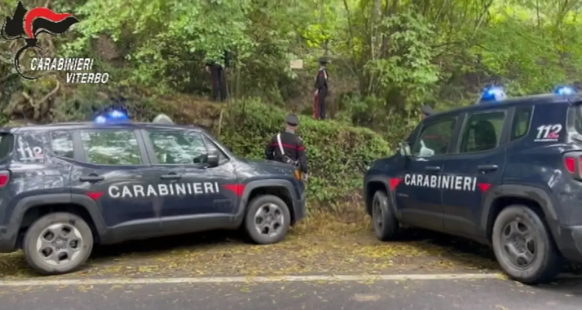 Omicidio nel bosco: identificata la vittima